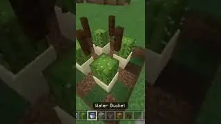 Самая простая автоматическая ферма кактусов в Minecraft! 🌵