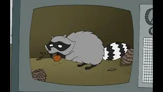 Family Guy - Raccoon  ᶜᶜ