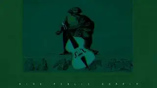Wolfgang Amadeus Mozart-Allegro