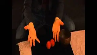 Sponge & Bowl