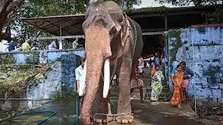 ചീരോത്ത് രാജീവ് || Cheeroth Rajeev