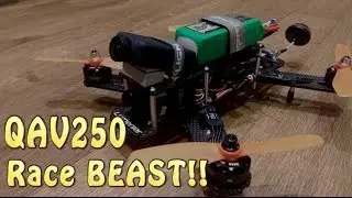 QAV250 Emax 2205 2300kv Race Series (BEAST!)
