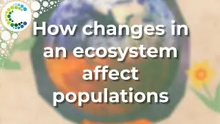 How changes in an ecosystem affect populations