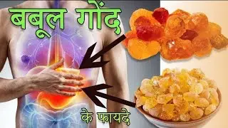 गोंद बबूल के जबरदस्त फायदे | कब, कैसे और कितना सेवन करें? | Gond Babool Benefits