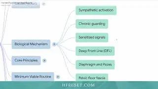 Hard Flaccid Explained: A Whole-Body System Pattern (Free Guide)