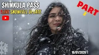मनाली से शिंकुला जाकर मिली बर्फ़बारी ||Live snowfall update Update #manalisnowfall #shinkulapass 