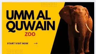 Zoo Travel Vlog | Feeding Animals + Funny Moments
