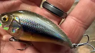 When You NEED To Be Fishing A Chrome Colored Lure&hellip;
