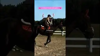 CHASE YOUR DREAMS | MY SHOW JUMPING PROGRESS  #equestrianjourney #horsegirl #showjumping