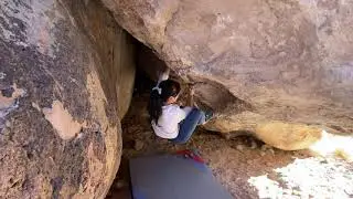 Mad Cow (V11)
