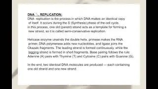 #biology#dna replication #by konain Malik # short notes# #likes subscribe share
