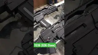 The TG36 (HK G36 Clone) #shorts