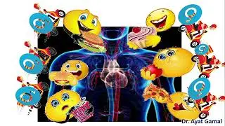 Introduction to Blood -Hematopoiesis