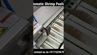 automatic Shrimp Peeling Machine GKB - 32