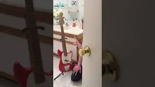 Don't Feed The Bass Player