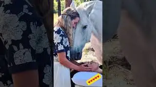 TRUE LOVE MOMENTS MELT HEARTS #horse #viral #equestrian #trending #amazing #love #foryou #shorts