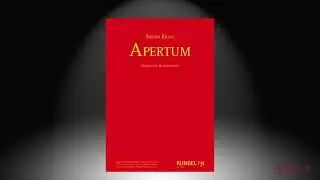 Apertum | Thiemo Kraas