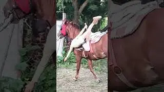 Corrido de Los Pequeños Gigantes