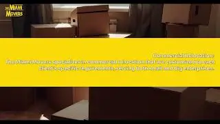 Syncing with Miami's Beat: The Miami Movers' Tailored Professional Moving Services