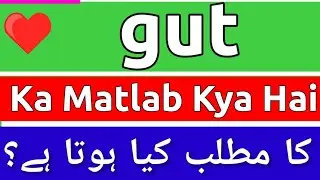 Gut Meaning In Urdu | Gut Ka Matlab Kya Hota Hai | Gut Ka Matlab Kya Hai | Gut Ka Meaning Kya Hai