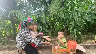 A 2-year-old baby lost in the woods was luckily found by a kind single mother.ly tu trieu