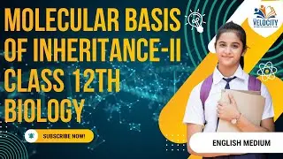 Molecular Basis Of Inheritance II  | Class 12 | Biology | NCERT