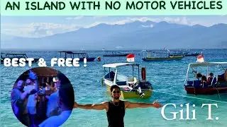 Island Life in Gili 🌴 + Hostel Games, Beach Hangs & Snorkeling Plans | Day 1 on Gili islands | Vlog