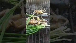 how to make spicy frog soup