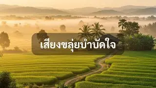 3 ชั่วโมง ดนตรีบำบัด 