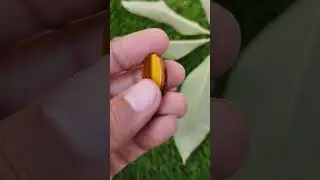 Beautiful Natural Tiger's Eye Gemstone With Attractive Chatoyant Effect | Looking Gorgeous...
