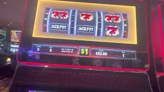 Playing MAX BET! How much did I win on Double Jackpot 777???