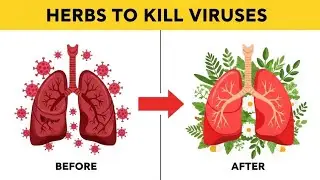 Best Natural Herbs to Support Lung Health, Reduce Mucus, Ease COPD, and Fight Viruses