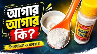 আগার আগার পাউডার কি? আগার আগারের ব্যবহার এবং দাম কত?Everything about agar agar powder. (Agar Agar)
