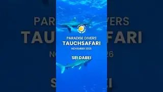 PARADISE DIVERS TAUCHSAFARI - 26.11.26-03.12.26 - BDE TOUR