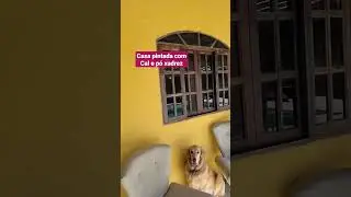 casa pintada com Cal. f&aacute;cil e barata.