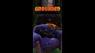 GROUNDED 101 | Base Coziness