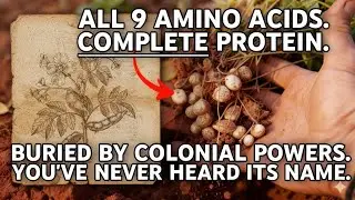All 9 Amino Acids, Complete Protein, Survives Droughts, Yet The World Bank Won't Fund It.