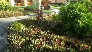 HOTEL HILTON MAURITIUS RESORT & SPA - Servicios e instalaciones. Parte 4