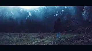Alan Walker - Love
