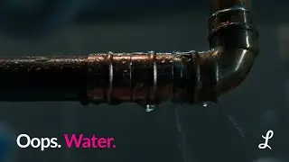 Insurance at the speed of burst pipes | Lemonade
