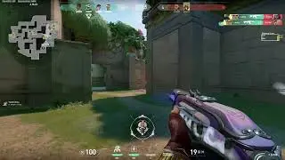 monkey ace
