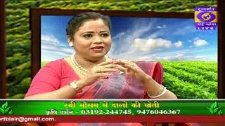 Cultivation of Pulses in Rabi Season
