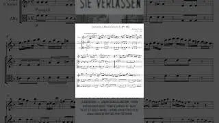 VIVALDI: Concerto for Recorder, Strings & Continuo in F Major, RV 442: ii. Largo e cantabile (alt)