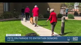 Renaissance Senior Living Pets on Parade