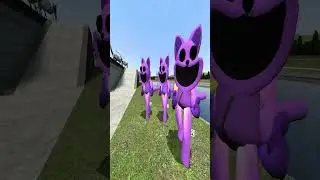All Cat Nap Nextbot Gmod