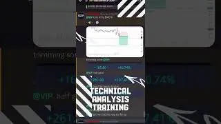 OptionScalps &mdash; Real Time Stock Alerts🚨