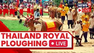 Thailand King Maha Vajiralongkorn Presides Over Royal Ploughing Ceremony | Thailand News LIVE