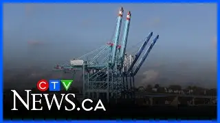 Record year for Port of Saint John