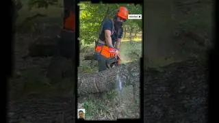 💯Powerful Chainsaw Cutting Thick Log | Precision Wood Cutting#treecutting #chainsawwork #viral