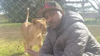 Mount Kenya🇰🇪 animal orphanage